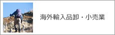 海外輸入品卸・小売業